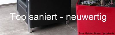 Umfassend sanierte Immobilien